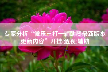 专家分析“微乐三打一辅助器最新版本更新内容	”开挂(透视)辅助