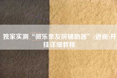 独家实测“微乐亲友房辅助器”(透视)开挂详细教程