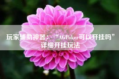 玩家辅助神器：“AGPoker可以开挂吗	”详细开挂玩法