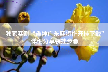 独家实测“雀神广东麻将作开挂下载”详细分享装挂步骤