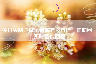 今日实测“微乐到底有没有挂”辅助器 - 实时智能回复