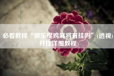 必看教程“微乐捉鸡麻将有挂吗”(透视)开挂详细教程