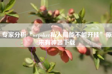 专家分析“wepoker私人局能不能开挂	”原来有神器下载