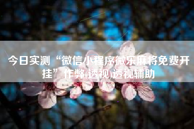 今日实测“微信小程序微乐麻将免费开挂”作弊(透视)透视辅助