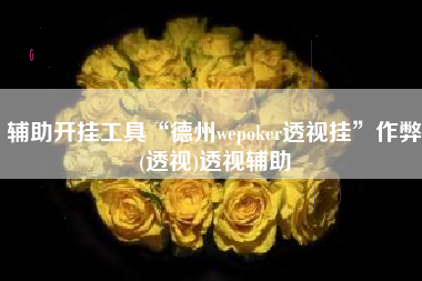 辅助开挂工具“德州wepoker透视挂”作弊(透视)透视辅助