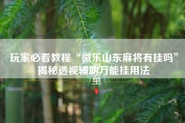 玩家必看教程“微乐山东麻将有挂吗	”揭秘透视辅助万能挂用法