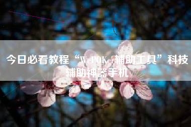 今日必看教程“WePOKer辅助工具	”科技辅助神器手机