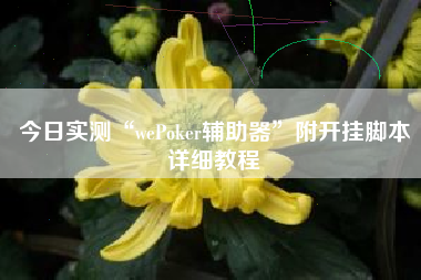 今日实测“wePoker辅助器	”附开挂脚本详细教程