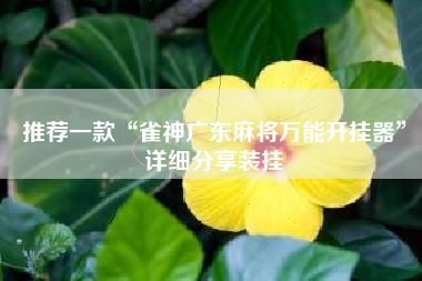 推荐一款“雀神广东麻将万能开挂器”详细分享装挂