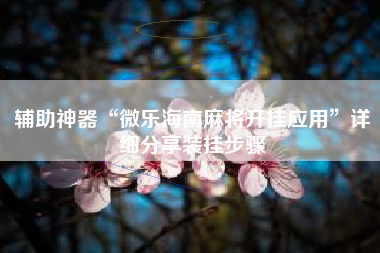 辅助神器“微乐海南麻将开挂应用”详细分享装挂步骤