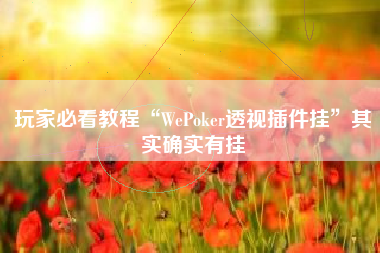 玩家必看教程“WePoker透视插件挂”其实确实有挂