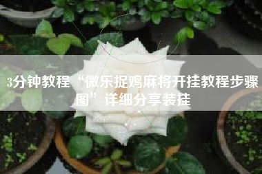 3分钟教程“微乐捉鸡麻将开挂教程步骤图”详细分享装挂