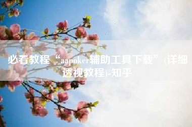 必看教程“aapoker辅助工具下载”(详细透视教程)-知乎