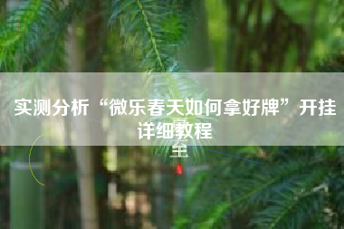 实测分析“微乐春天如何拿好牌”开挂详细教程