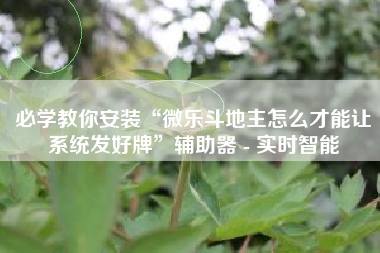 必学教你安装“微乐斗地主怎么才能让系统发好牌”辅助器 - 实时智能