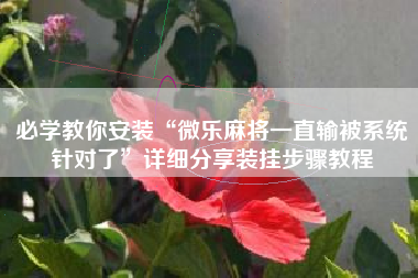 必学教你安装“微乐麻将一直输被系统针对了”详细分享装挂步骤教程