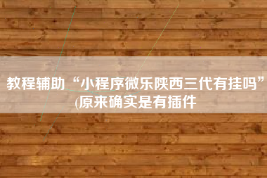 教程辅助“小程序微乐陕西三代有挂吗	”(原来确实是有插件