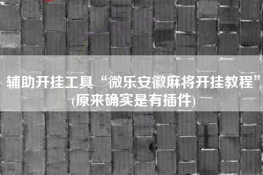 辅助开挂工具“微乐安徽麻将开挂教程”(原来确实是有插件)