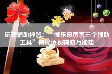 玩家辅助神器：“微乐最厉害三个辅助工具”揭秘透视辅助万能挂