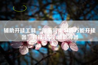 辅助开挂工具“微乐河南麻将万能开挂器”开挂(透视)辅助神器