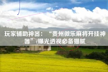 玩家辅助神器：“贵州微乐麻将开挂神器”(曝光透视必备猫腻