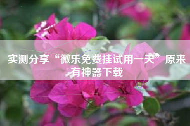 实测分享“微乐免费挂试用一天”原来有神器下载 实测分享“微乐免费挂试用一天”原来有神器下载