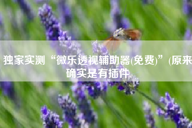 独家实测“微乐透视辅助器(免费)”(原来确实是有插件