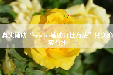 真实辅助“wepoker辅助开挂方法”其实确实有挂