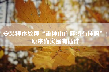 安装程序教程“雀神山庄麻将有挂吗”(原来确实是有插件