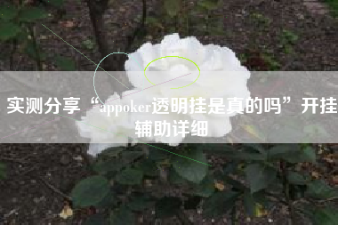 实测分享“appoker透明挂是真的吗”开挂辅助详细