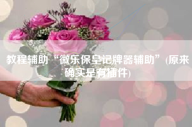 教程辅助“微乐保皇记牌器辅助	”(原来确实是有插件)