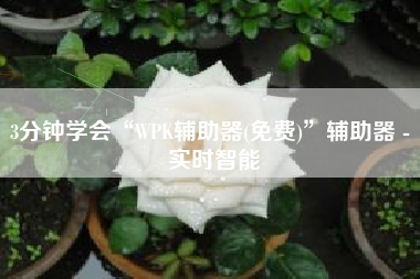 3分钟学会“WPK辅助器(免费)”辅助器 - 实时智能