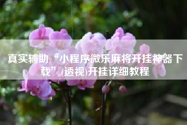 真实辅助“小程序微乐麻将开挂神器下载”(透视)开挂详细教程