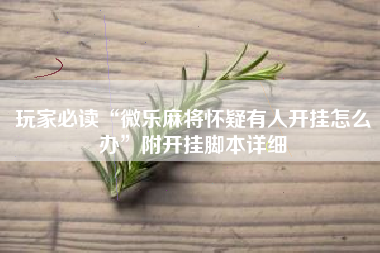 玩家必读“微乐麻将怀疑有人开挂怎么办”附开挂脚本详细