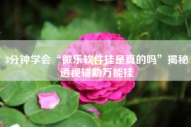 3分钟学会“微乐软件挂是真的吗”揭秘透视辅助万能挂