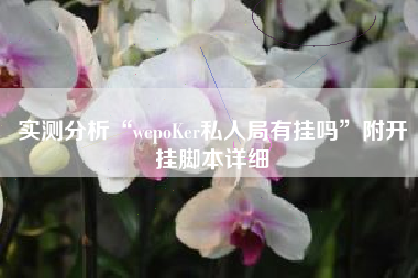 实测分析“wepoKer私人局有挂吗	”附开挂脚本详细