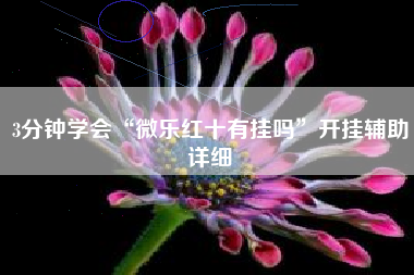 3分钟学会“微乐红十有挂吗”开挂辅助详细