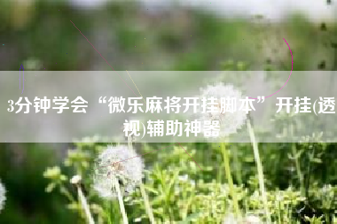 3分钟学会“微乐麻将开挂脚本	”开挂(透视)辅助神器