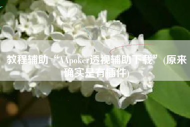 教程辅助“AApoker透视辅助下载”(原来确实是有插件)