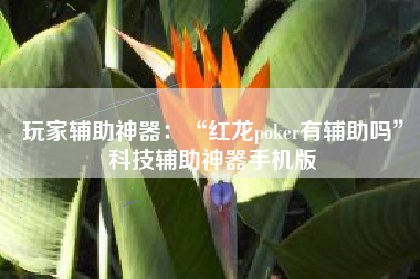 玩家辅助神器：“红龙poker有辅助吗	”科技辅助神器手机版
