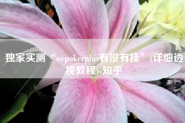 独家实测“wepokerplus有没有挂	”(详细透视教程)-知乎