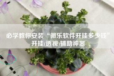 必学教你安装“微乐软件开挂多少钱”开挂(透视)辅助神器