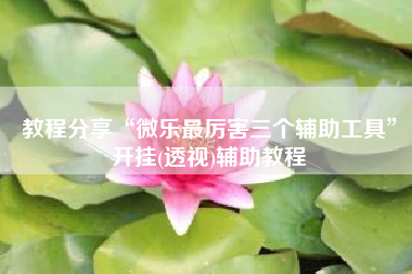 教程分享“微乐最厉害三个辅助工具”开挂(透视)辅助教程