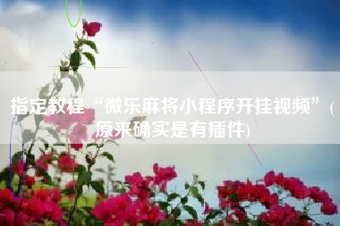 指定教程“微乐麻将小程序开挂视频	”(原来确实是有插件)