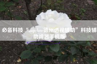 必备科技“aapoker德州透视辅助”科技辅助神器手机版