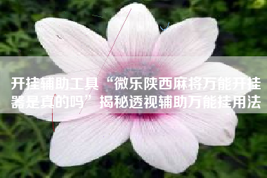 开挂辅助工具“微乐陕西麻将万能开挂器是真的吗”揭秘透视辅助万能挂用法