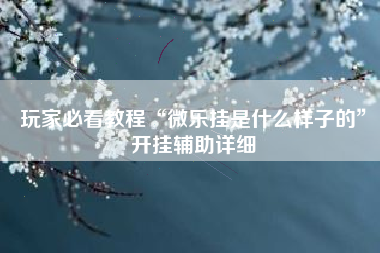 玩家必看教程“微乐挂是什么样子的”开挂辅助详细