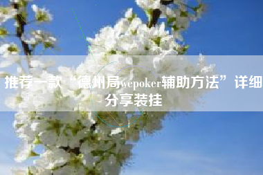 推荐一款“德州局wepoker辅助方法”详细分享装挂