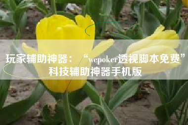 玩家辅助神器：“wepoker透视脚本免费”科技辅助神器手机版