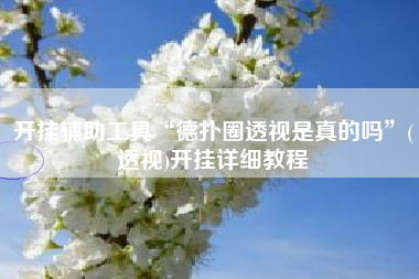 开挂辅助工具“德扑圈透视是真的吗	”(透视)开挂详细教程